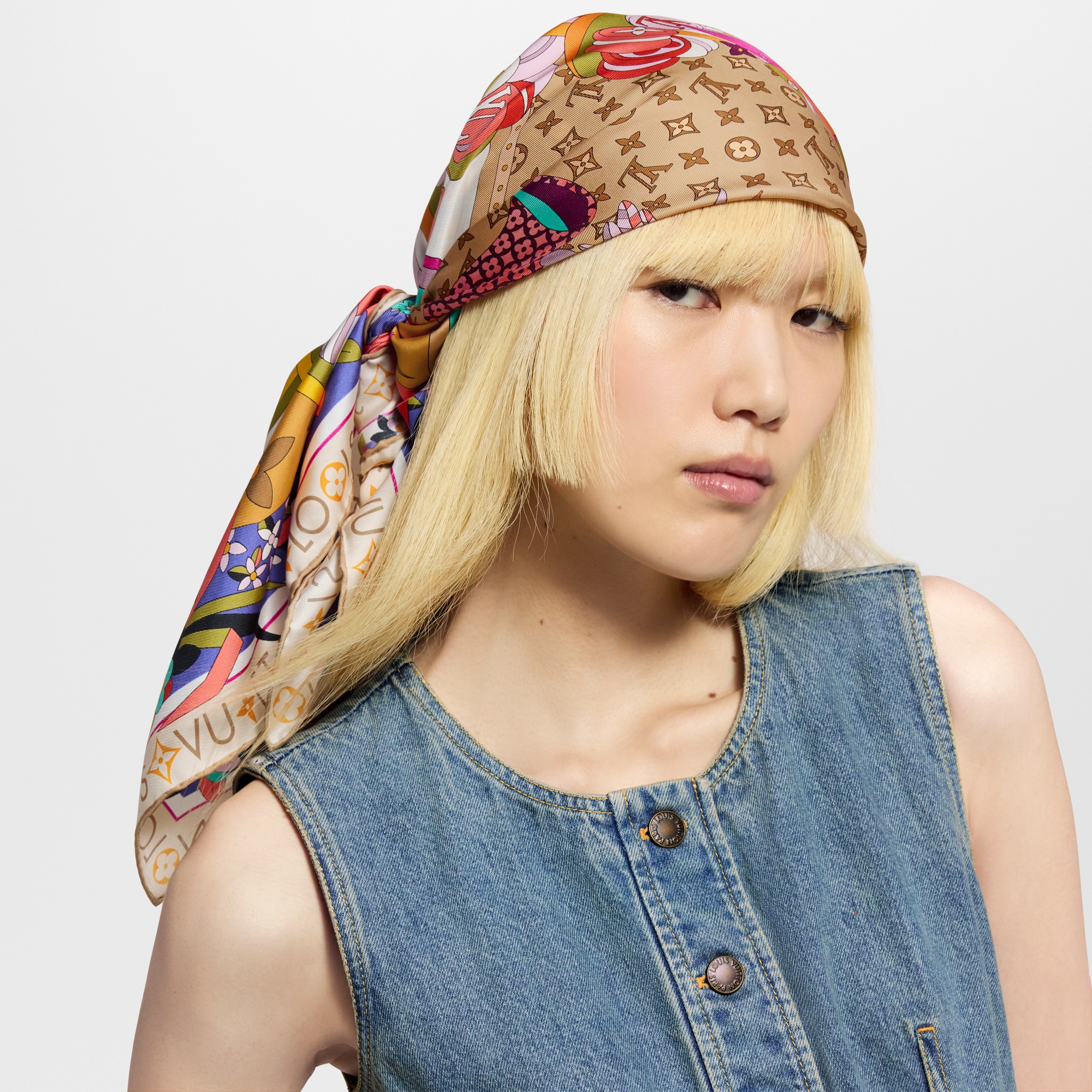 新品　LOUIS VUITTON バンドーピクニック louis-vuitton--